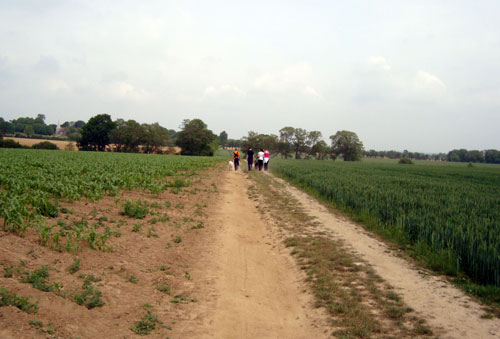 Cliffe Bonfire Society Sponsored Walk