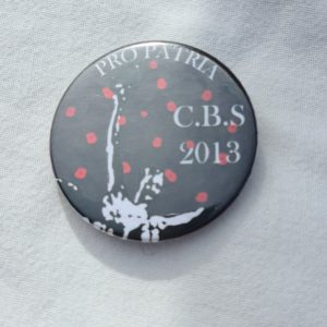 2013 Tin Badge